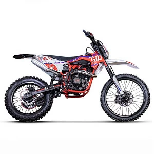 Мотоцикл кроссовый GTO SHORT Patriot 300